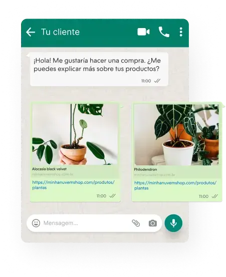 WhatsApp screen con productos