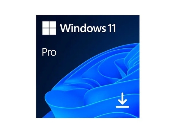 Windows 11 Pro Microsoft 64 Bit ESD FQC 10572