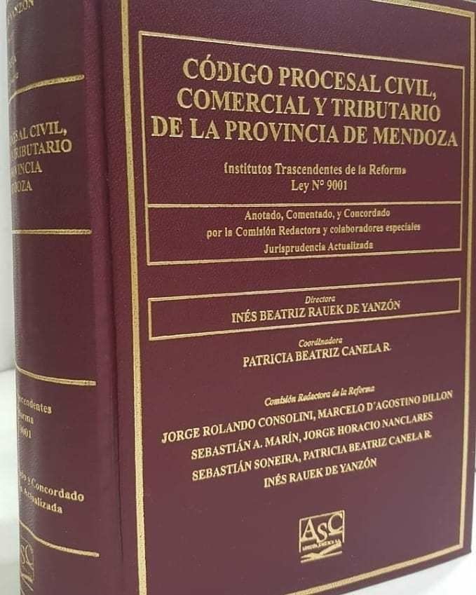 C Digo Procesal Civil Comercial Y T De Mendoza Comentado Rauek