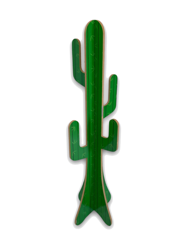 montessori Cactus
