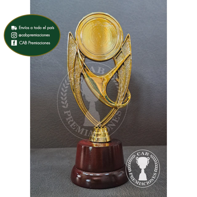 Trofeo Souvenir Copa Olimpica P Centro Standard En Base De Madera