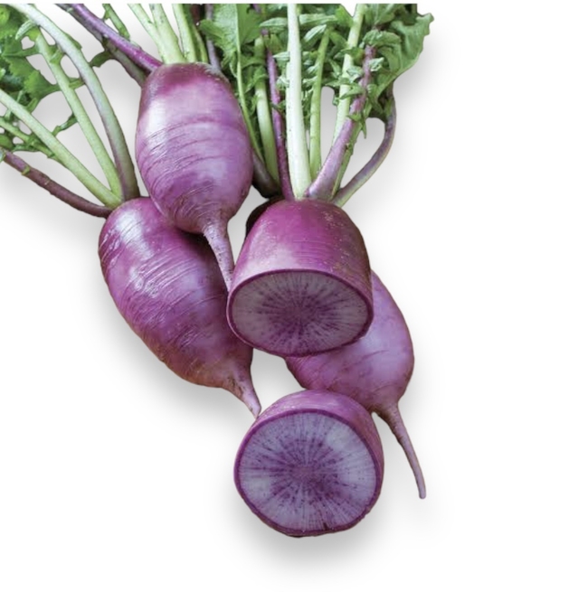 Organic Purple Daikon Radish Buy In The Green Deli