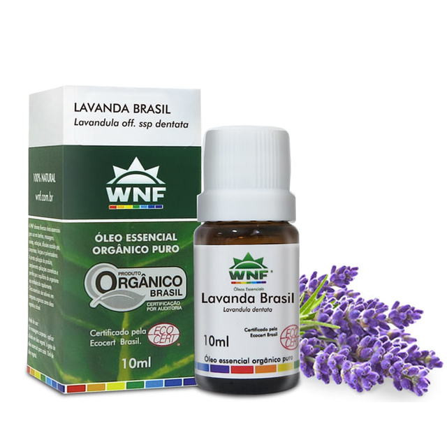 Óleo Essencial Lavanda Brasil 10 ml Lavandula dentata