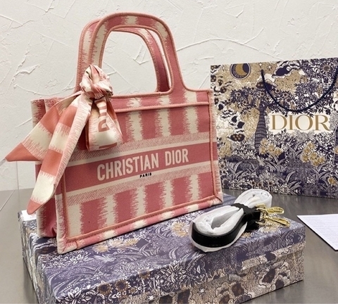 dior paris bags