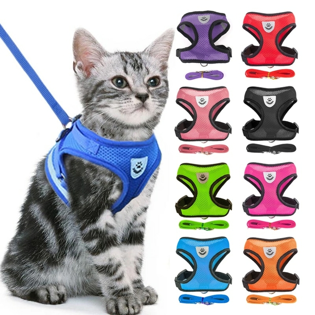 Coleira Pet cetim Estampada Pescoço para cães e Gato - Empire Store Pets -  Coleiras e Guias para Gatos - Magazine Luiza