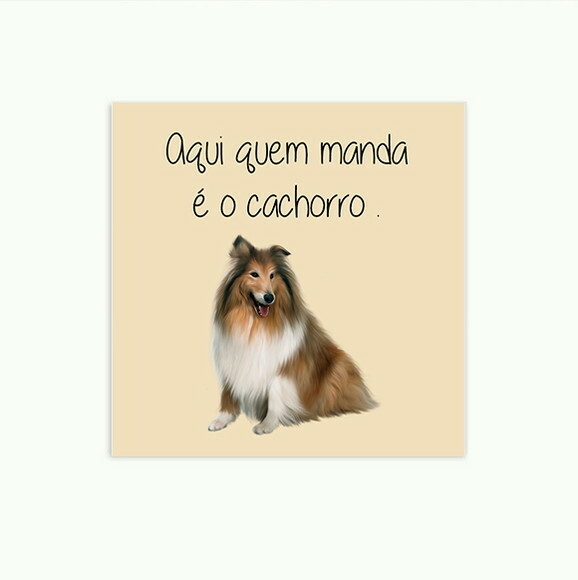 Quadro Decorativo Aqui Quem Manda O Collie