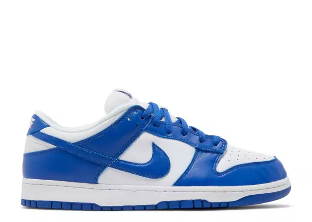 nike dunk low retro sp