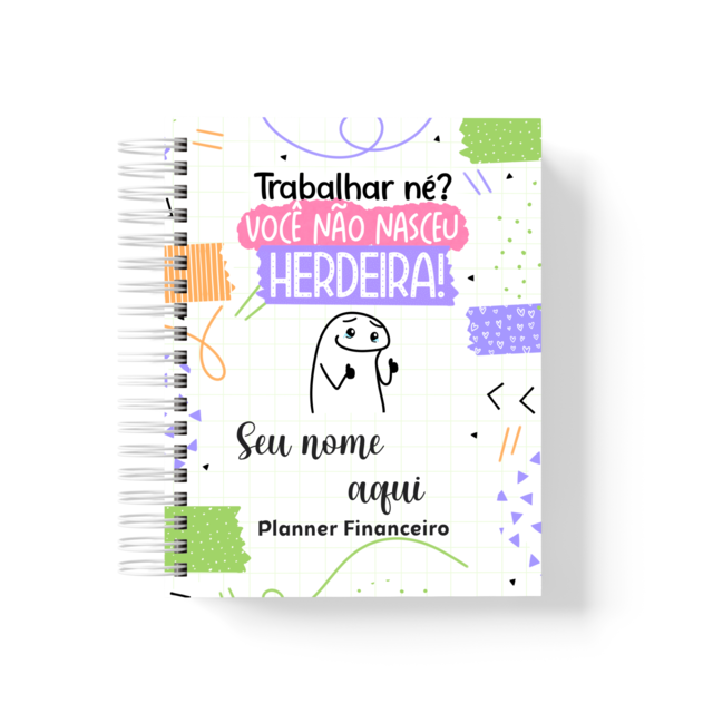 Controle Financeiro Flork Drika Mais Papelaria