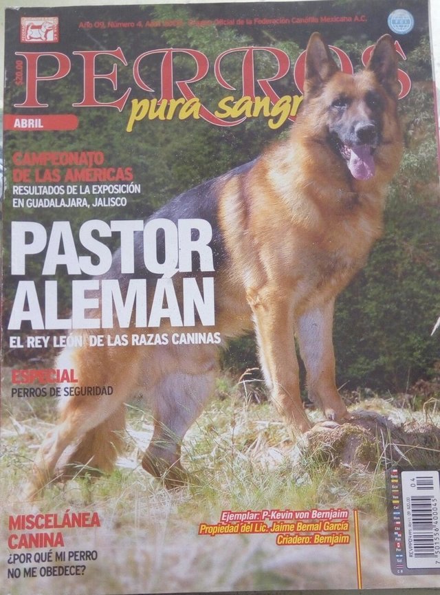 Revista Perros Pura Sangre  Antiguo Perro de Pastor Inglés
