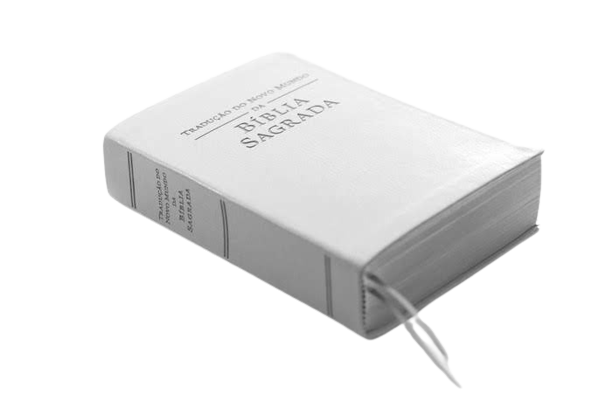 Tradução Do Novo Mundo Das Escrituras Gregas Cristãs - Associação Torre De  Vigia De Bíblias E Tratados - Traça Livraria e Sebo