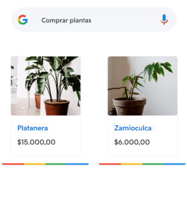 Ejemplo de anuncio de tienda en línea compartido a través de Google Shopping