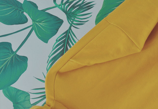 Guillermina Regalado