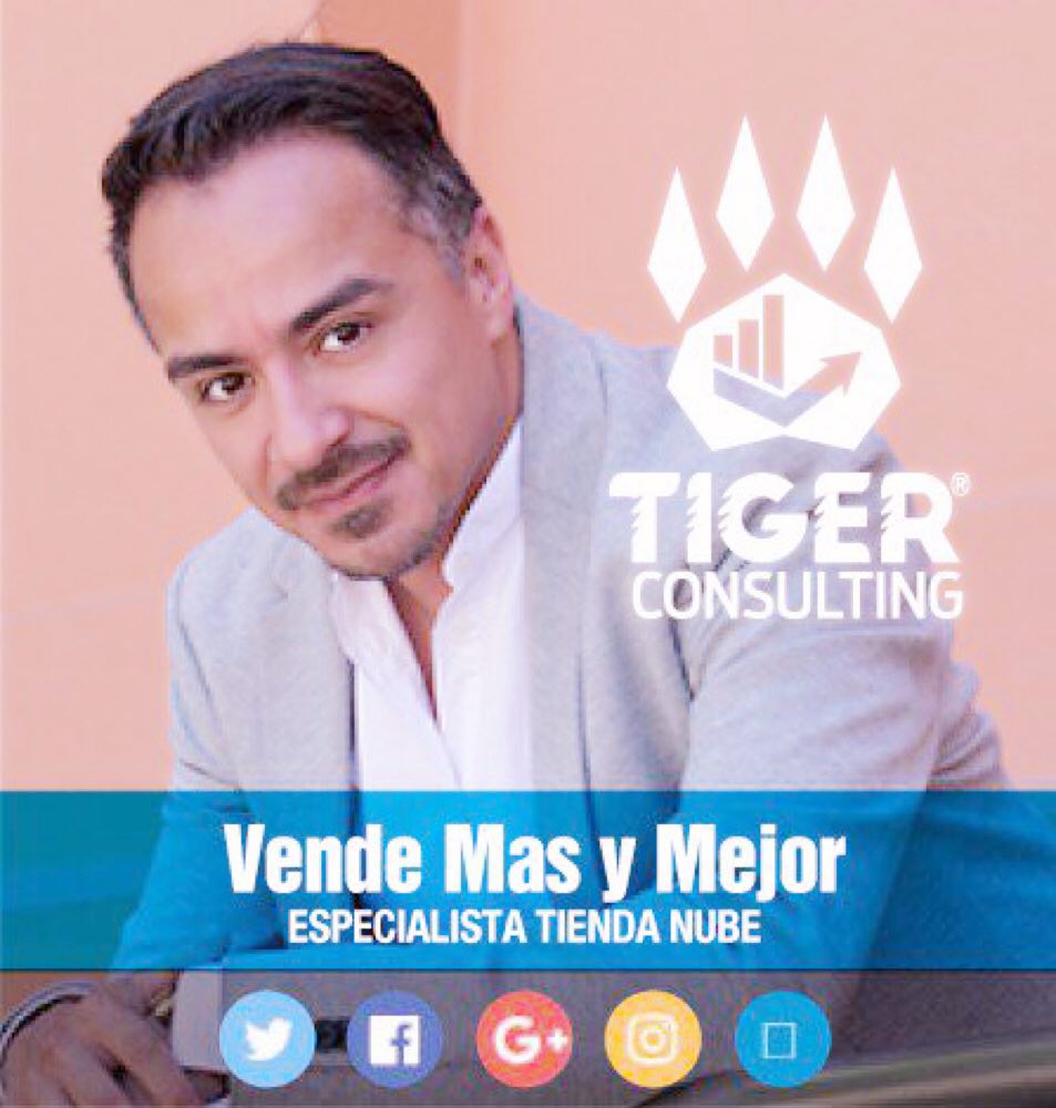 TIGER Consulting