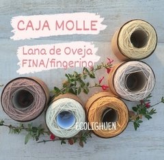 CAJA OVILLOS MOLLE-LANA Oveja MERINO 24 micras FINA / fingering con TINTES NATURALES