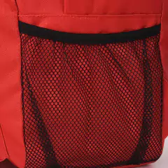 Imagen de Mochila Urbana 31994