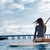 Watersports