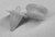 Clip Tapizado De Puertas Renault 19/clio/twingo