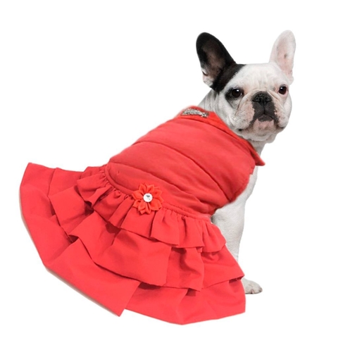 frisco dog & cat basic moletom com capuz