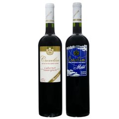 Kit 2 Vinhos: Tinto Seco Cabernet Sauvignon + Tinto Seco Merlot 750ml