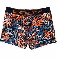 Boxer Lody M