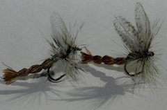 May fly de cuerpo extendido y alas de pluma inv.
