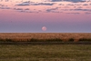 3871 - Puesta Luna #2
