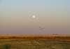 4605 - Moonset #1