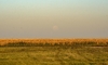 4630 - Moonset #4
