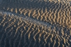 6668 - Sandscapes #1