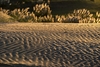 6672 - Sandscapes #7