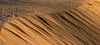 6678 - Late evening at the Dunes #2