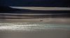 2052 - Glacier textures