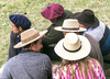 6899 - Modern Gaucho gathering