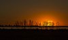 9008 - Pampas sunset