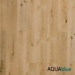 CAJA AquaBlue 4 mm en internet