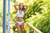 Brigitte art 2142 - comprar online