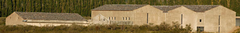 Banner de la categoría Atamisque