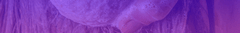 Banner de la categoría Capilar