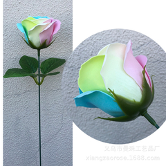 FLORES SECAS TRATAMIENTO FORMOL - INCRUSTACION - tienda online