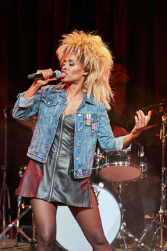 Tina Turner Barbie doll