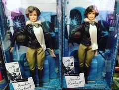 Barbie Amelia Aerhardt - comprar online