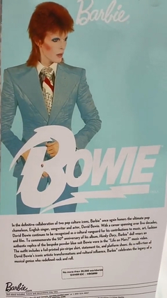 Barbie doll David Bowie - Michigan Dolls