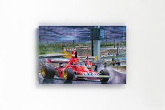 Niki Lauda - comprar online