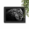 Quadro Decorativo Lion Wig Horizontal