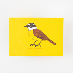 Postales Fiu-fiu (individuales) - tienda online