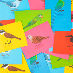 Postales Fiu-fiu (individuales)