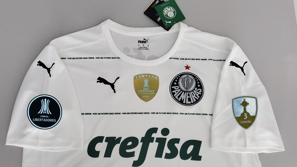 Camisa Palmeiras II 21/22 Versão Torcedor Libertadores + Personalização  Grátis - Imports do vale