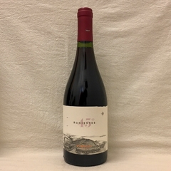 Otronia 45 Rugientes Pinot Noir