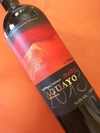 Aguayo 2013 - Agustin Lanus