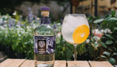 La Elisa Gin / nueva imagen